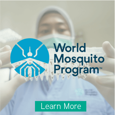World Mosquito Program Yogyakarta