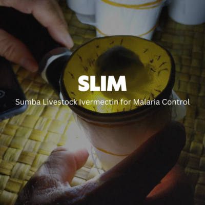 SLIM – Sumba Livestock Ivermectin for Malaria Control
