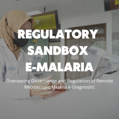 Overseeing Governance and Regulation of Remote Microscopic Malaria e-Diagnostic