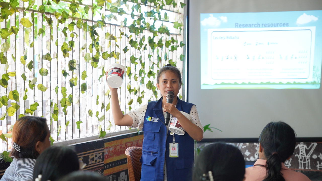 Wolbachia implementation in Kupang